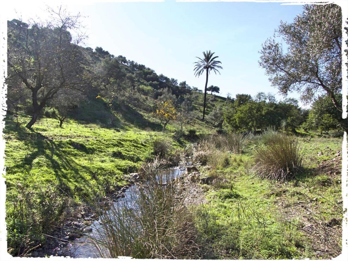 Cortijo Casas Viejas Villa Malaga Luaran gambar