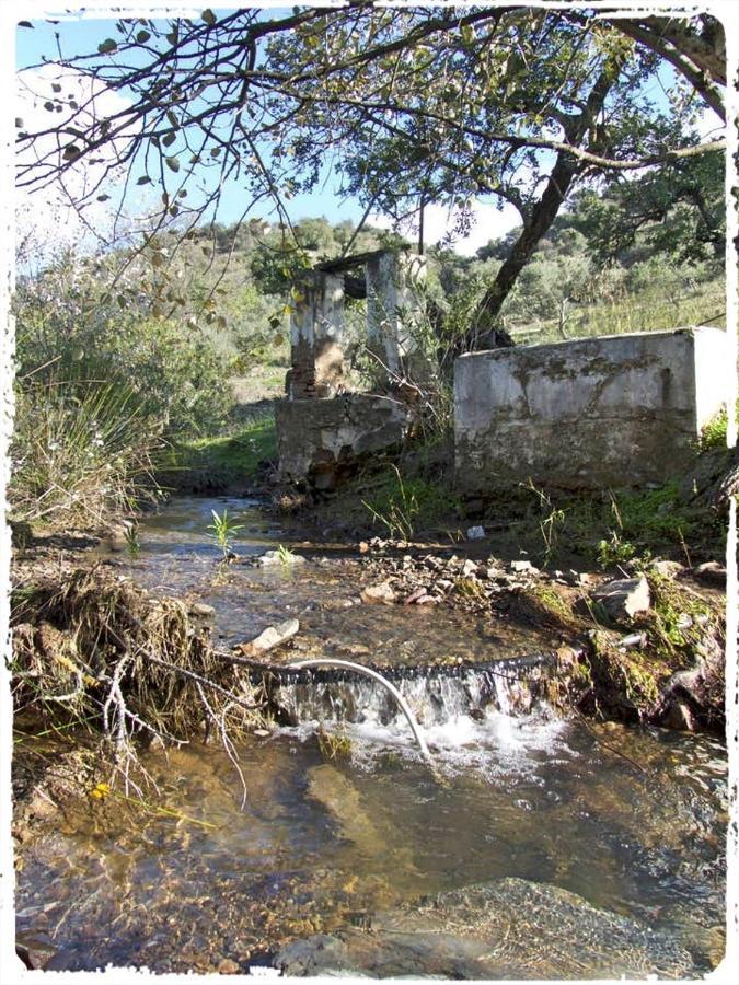 Cortijo Casas Viejas Villa Malaga Luaran gambar